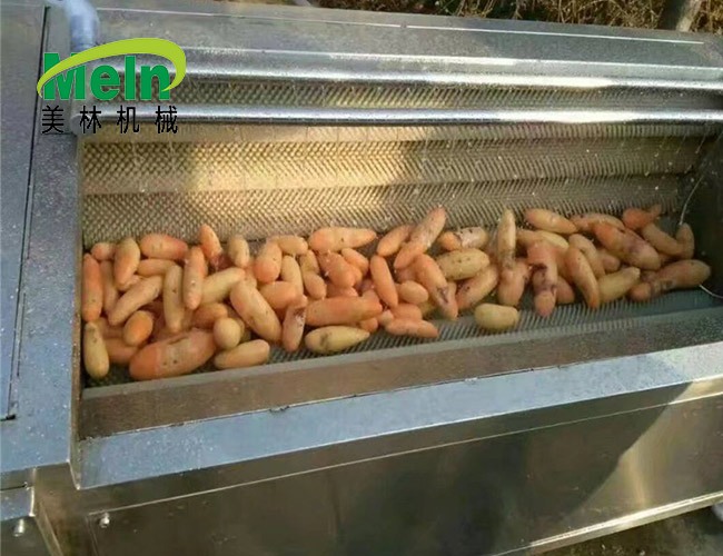毛輥清洗去皮機(jī)